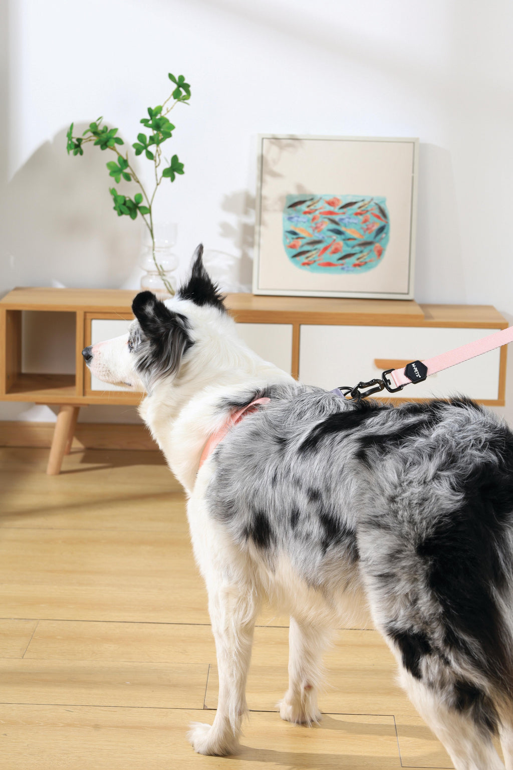 Pettorina triangolare GENTLE DOG rosa