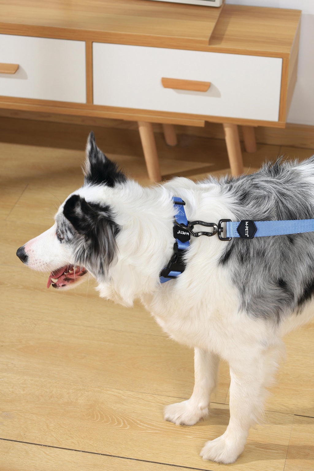 GENTLE DOG Guinzaglio Blu