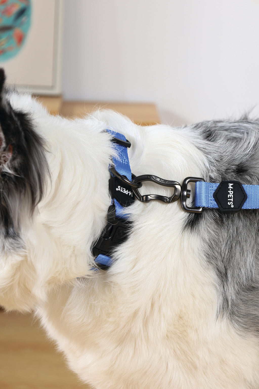 GENTLE DOG Guinzaglio Blu