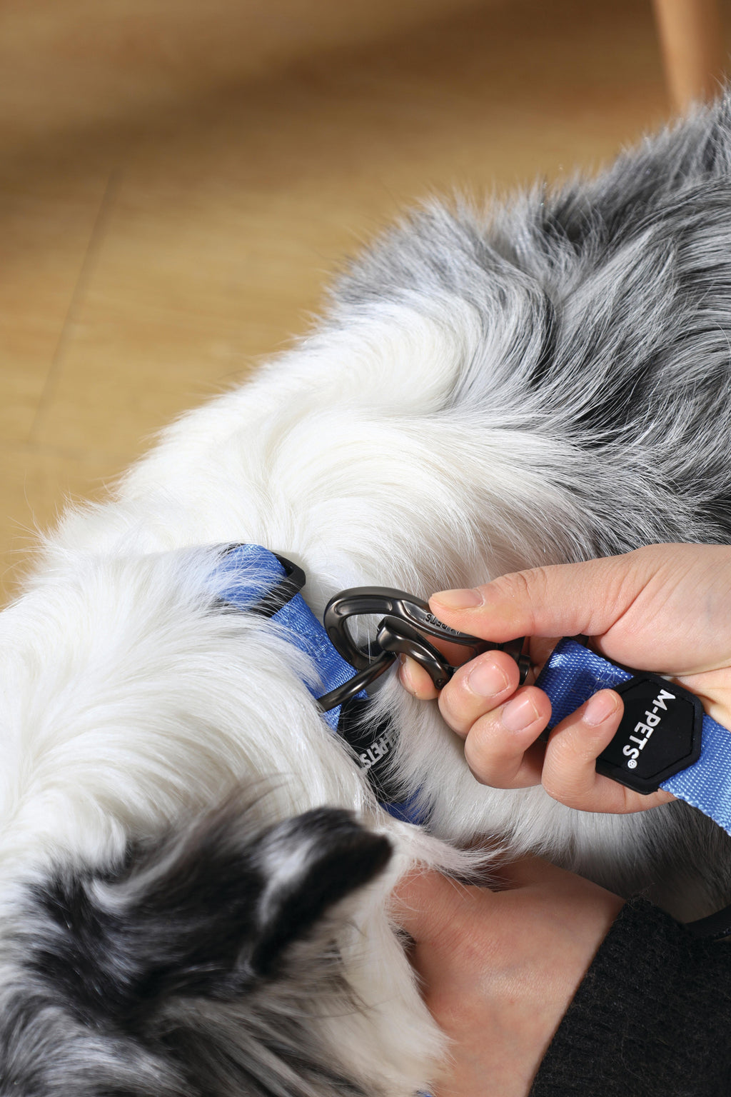 GENTLE DOG Guinzaglio Blu