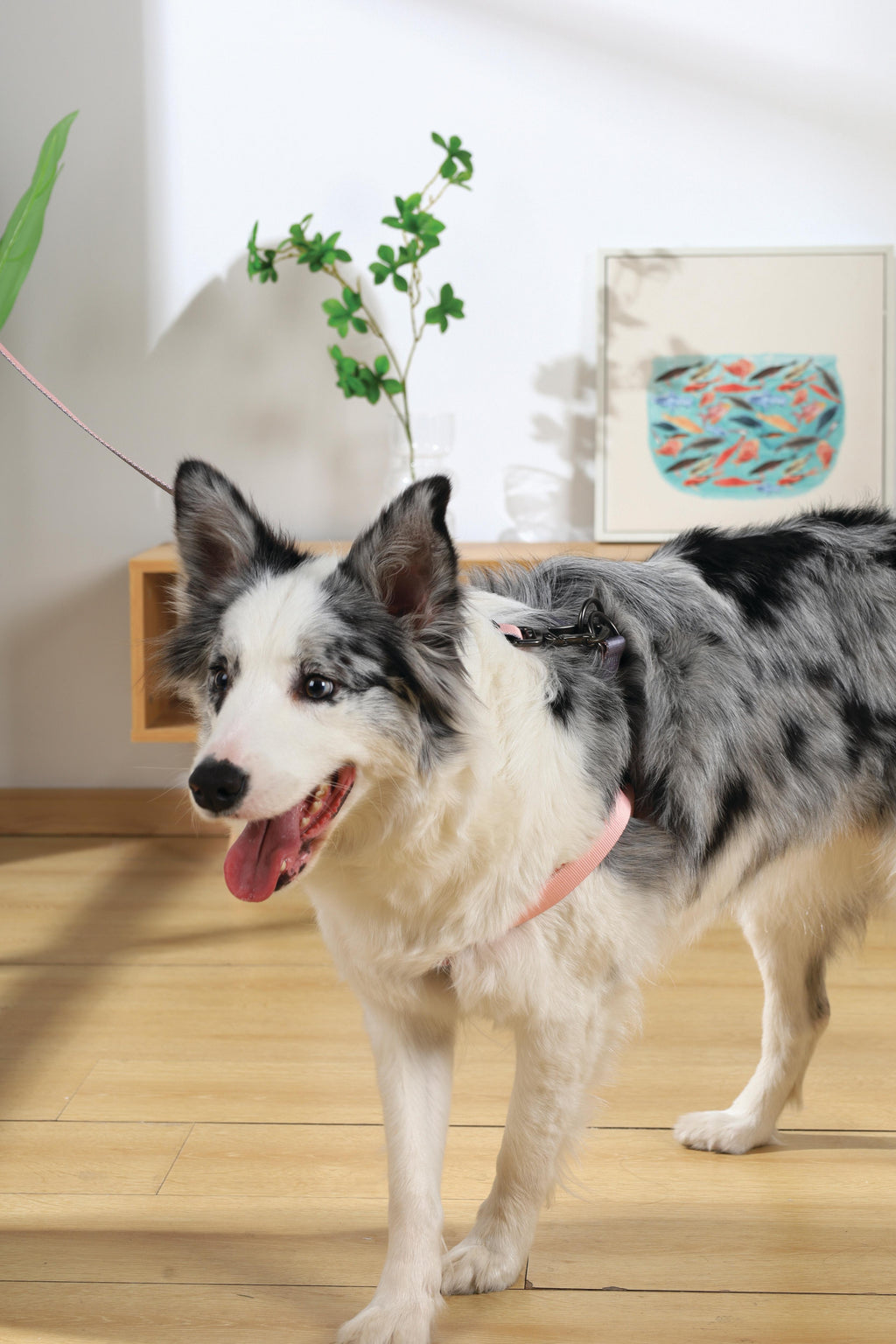 Guinzaglio GENTLE DOG Rosa