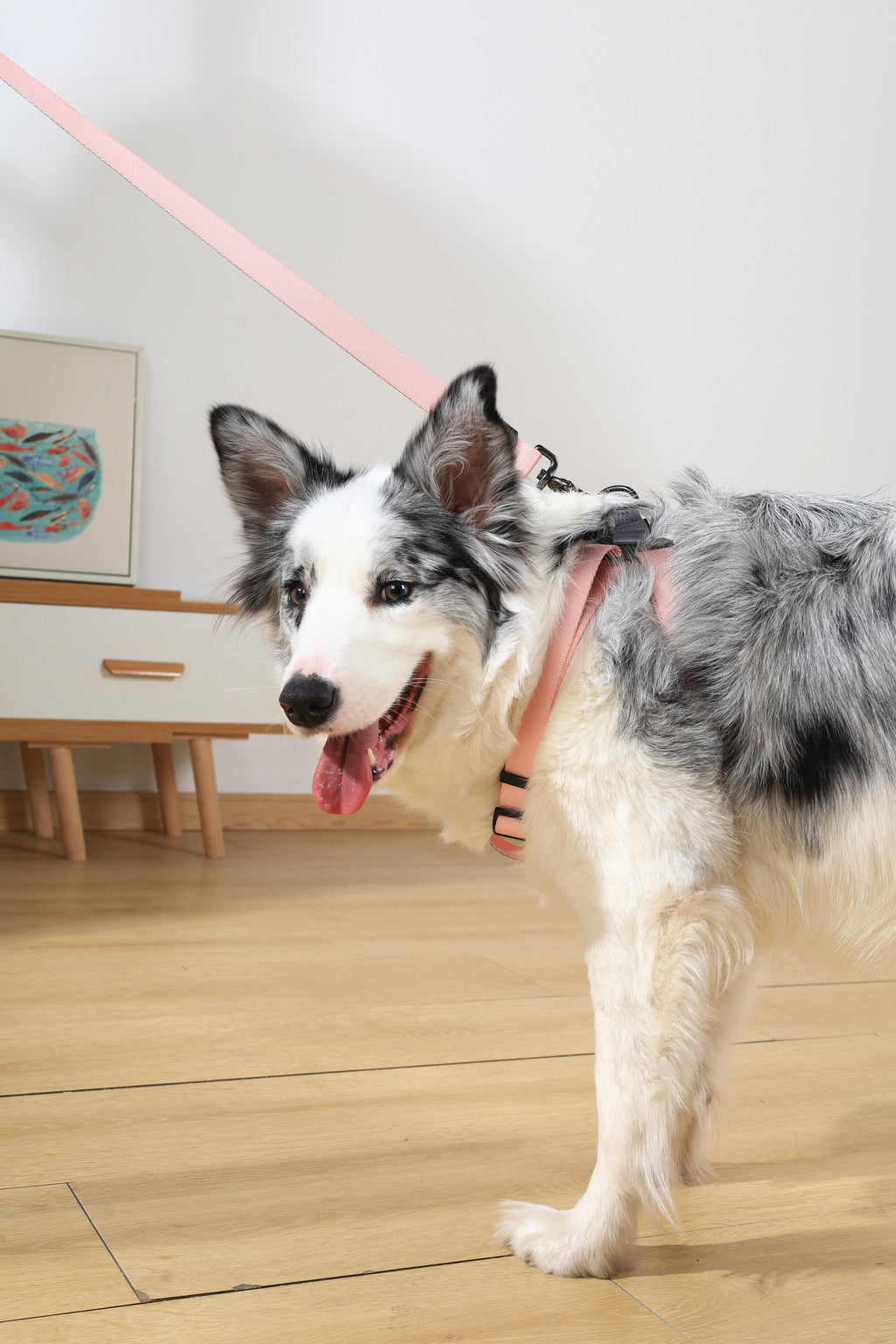 Guinzaglio GENTLE DOG Rosa