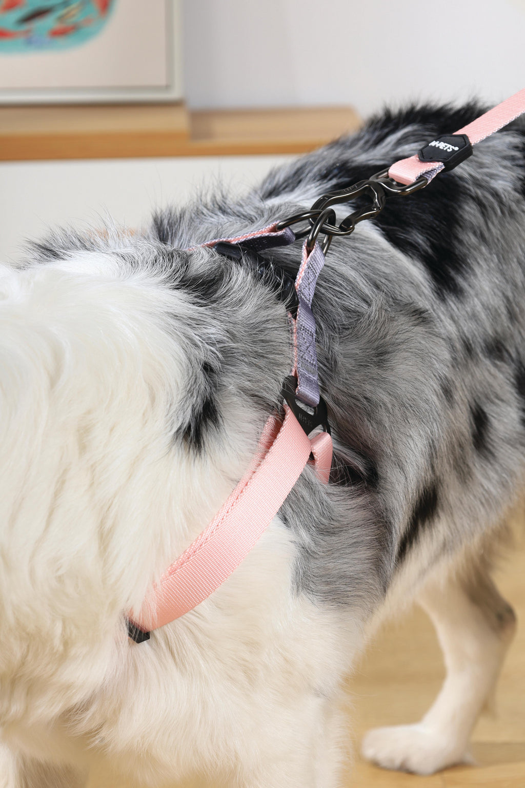 Guinzaglio GENTLE DOG Rosa