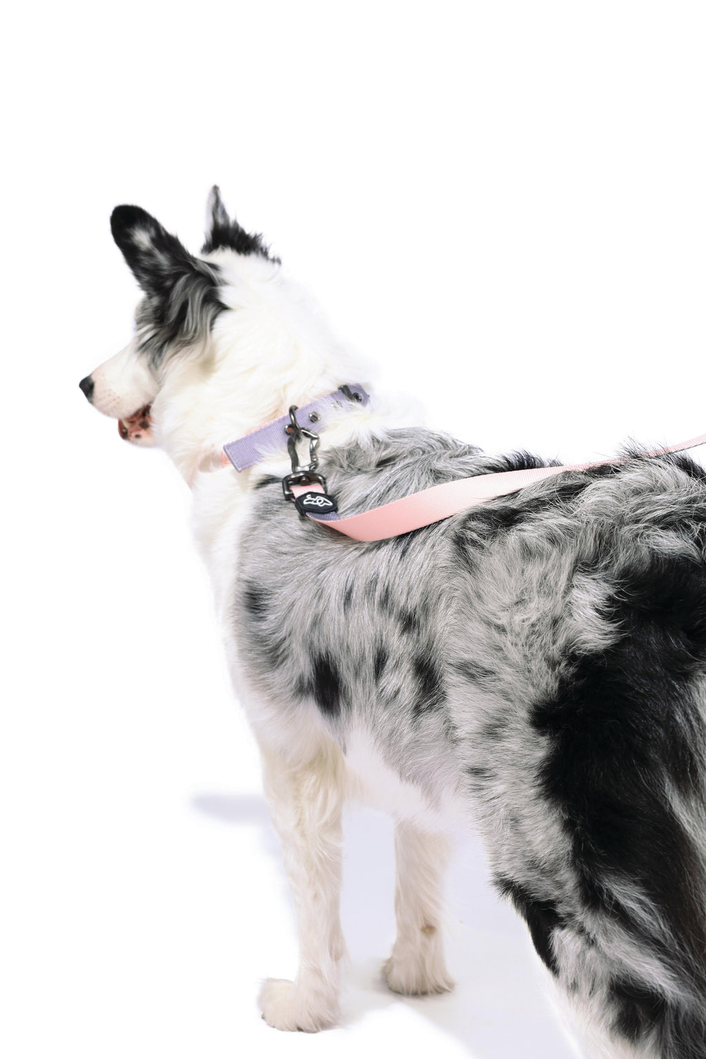 Guinzaglio GENTLE DOG Rosa