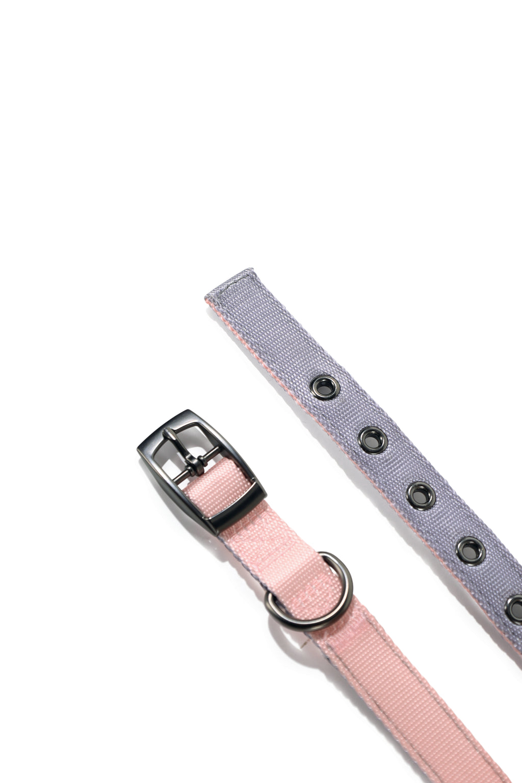 COLLARE IMBOTTITO GENTILE PER CANI Rosa