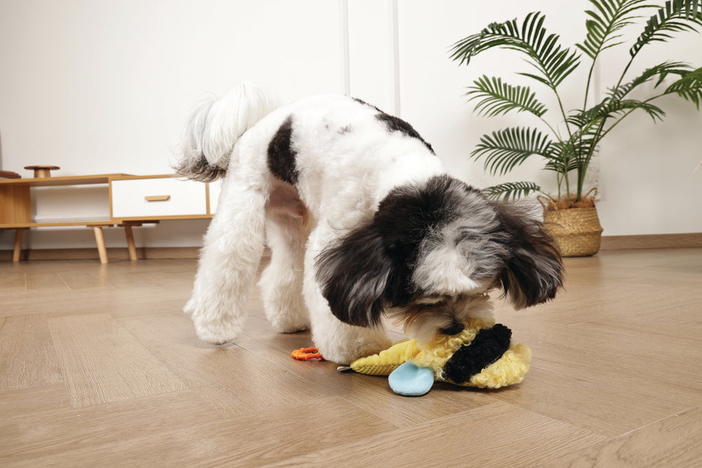 Slippers Dog toy Bee