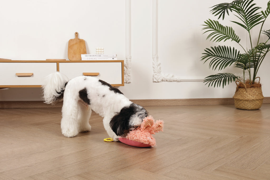 Slippers Dog toy Bunny