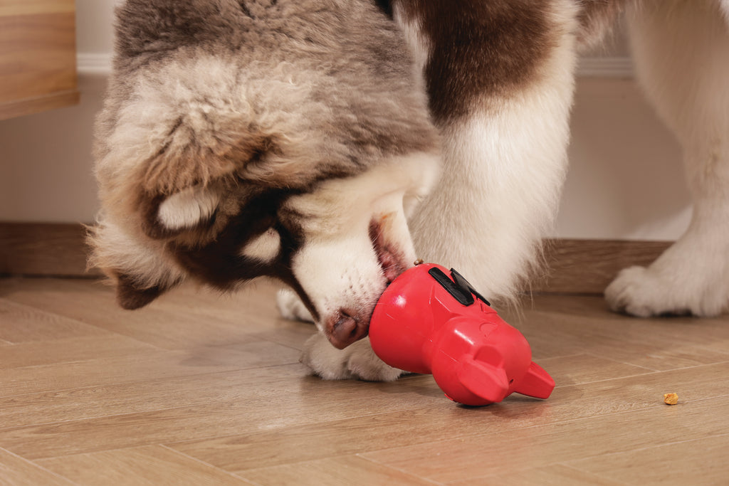 POWER CHEW Dog toy Ruby