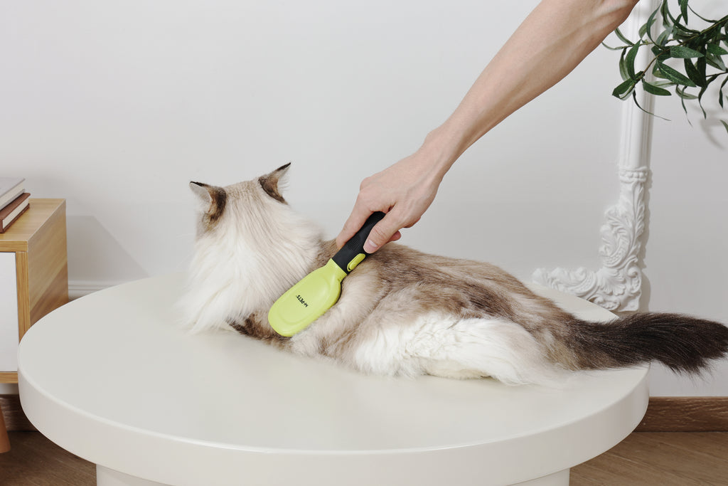 CLICK and GROOM Pin Brush