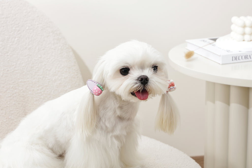 GLAM Accessori per capelli per animali clip - Rosa
