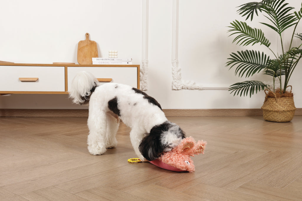 Slippers Dog toy Bunny