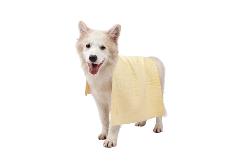 BATHTIME Quick-dry Towel for Cats and Dogs Yellow Bubble