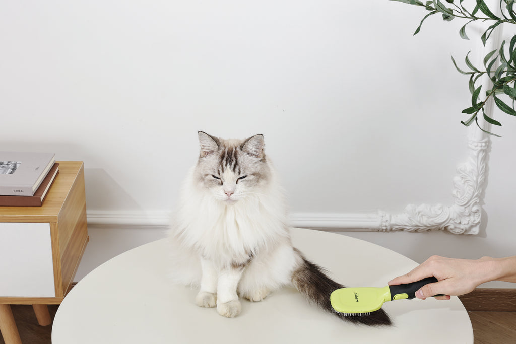CLICK and GROOM Pin Brush