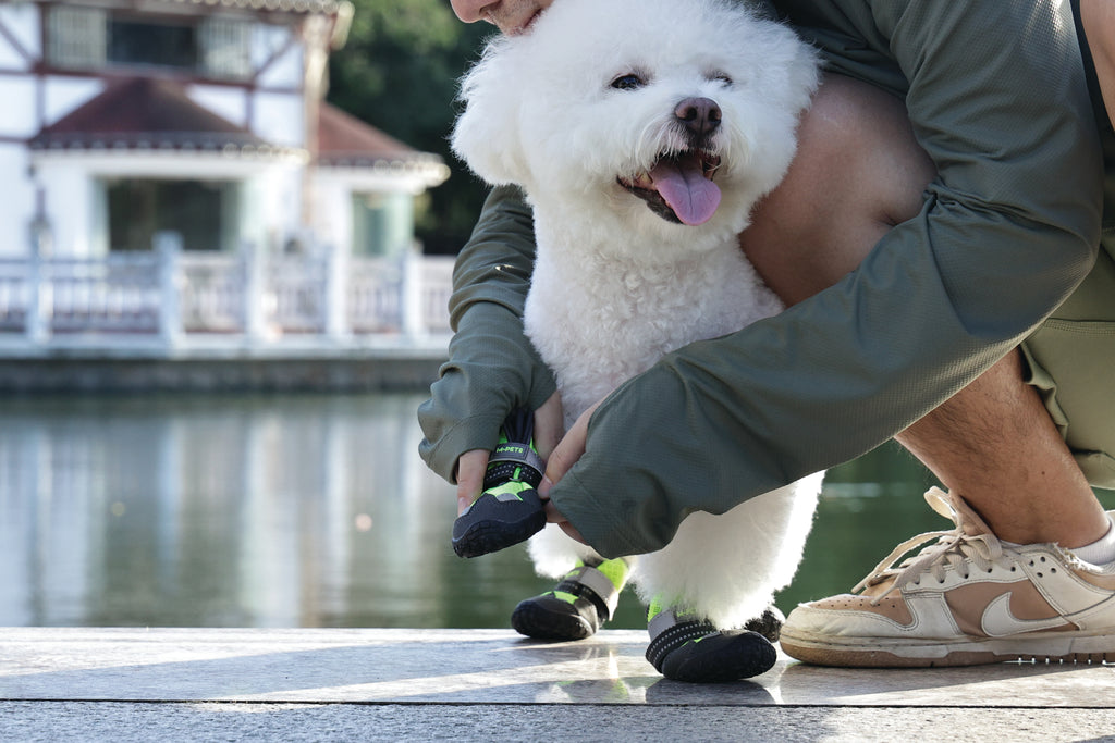 FLEXI SHOES Dog - Green edition