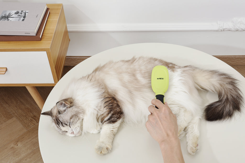 CLICK and GROOM Pin Brush