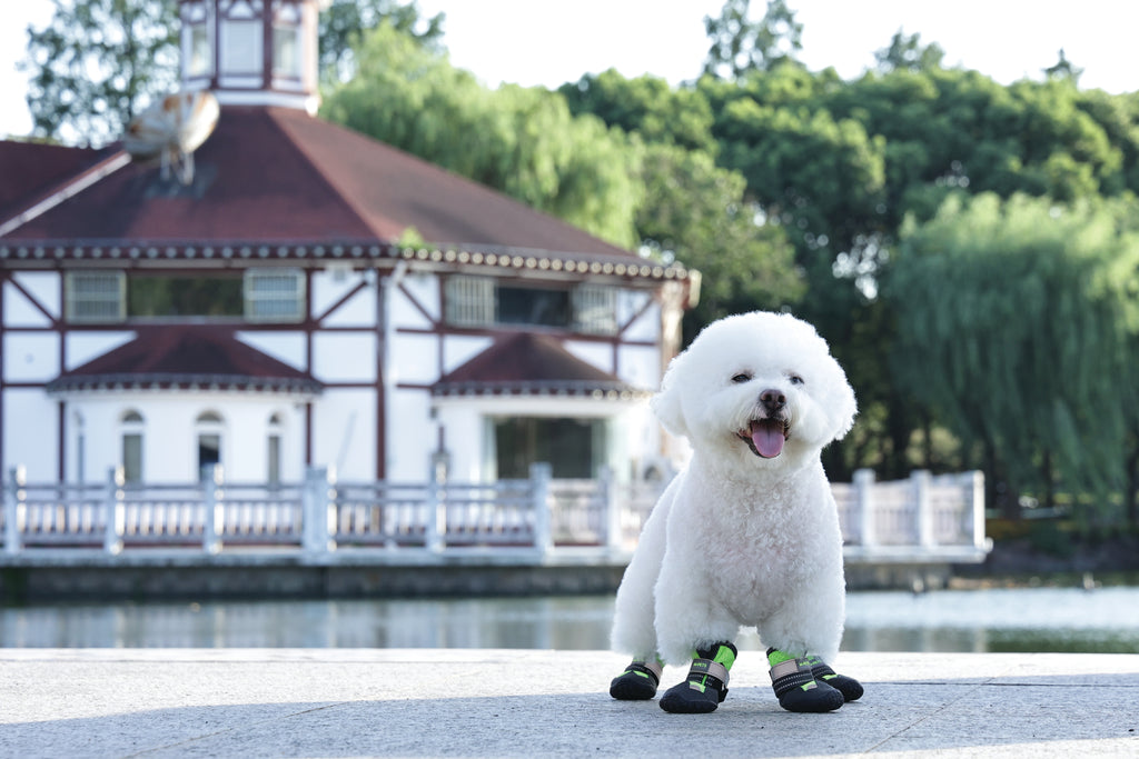 FLEXI SHOES Dog - Green edition