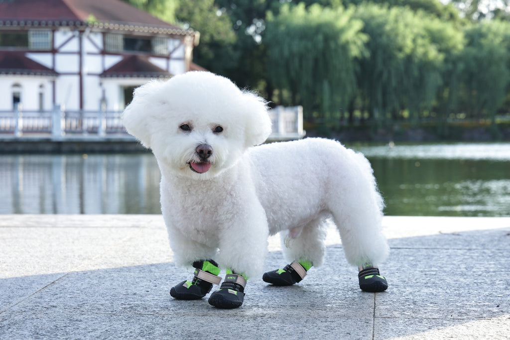 FLEXI SHOES Dog - Green edition