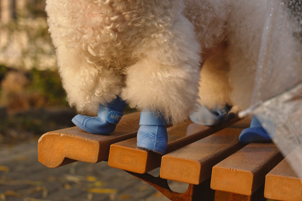 RAINY DAY Dog shoes Blue