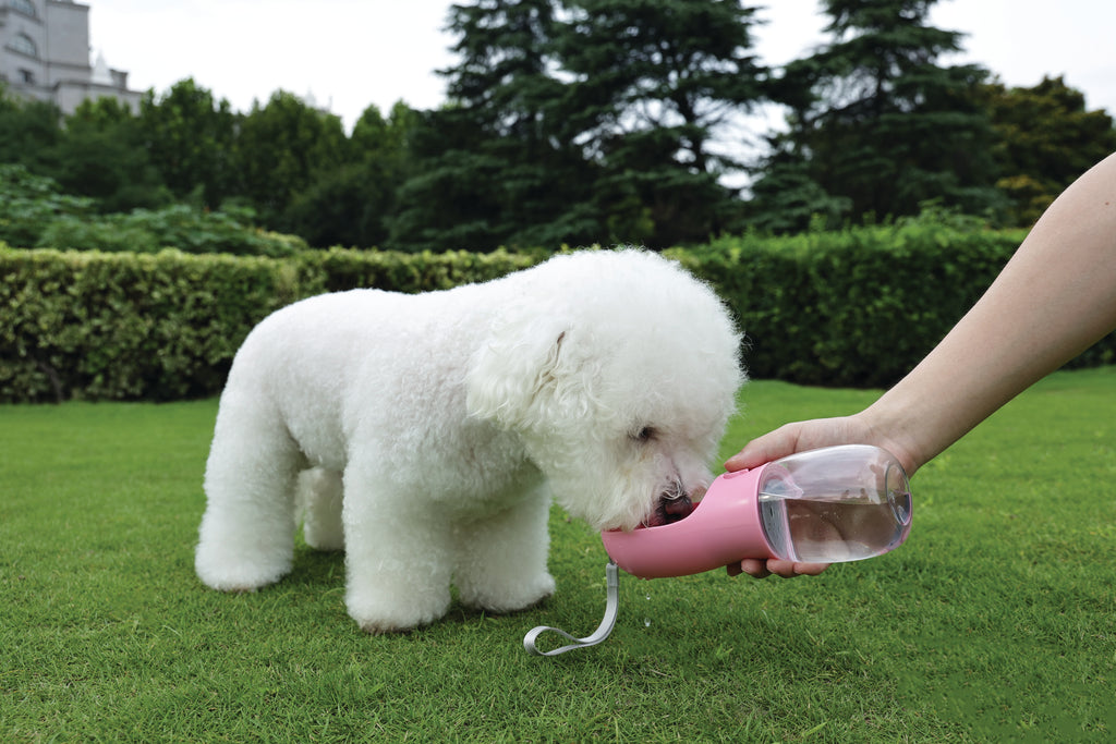 ON THE ROAD Dog water bottle 600 ml - 3 in 1 - Pink bloom