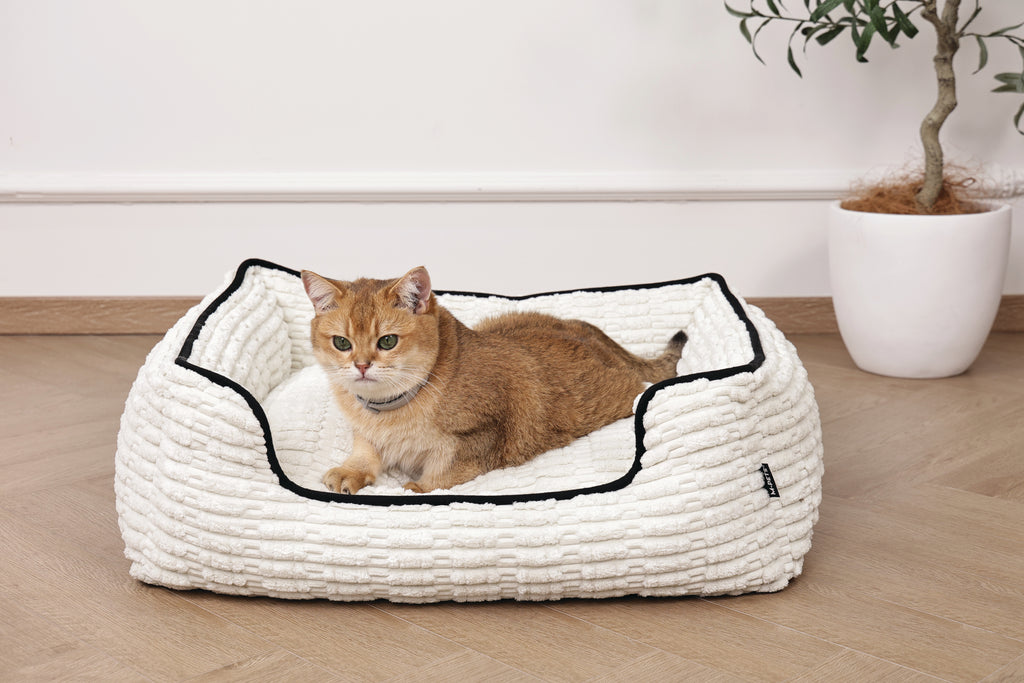 KEEP CALM - Collare con feromoni calmanti per gatti 1 pz