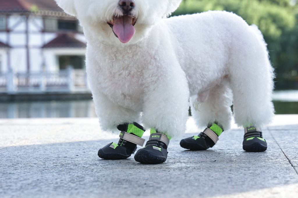 FLEXI SHOES Dog - Green edition