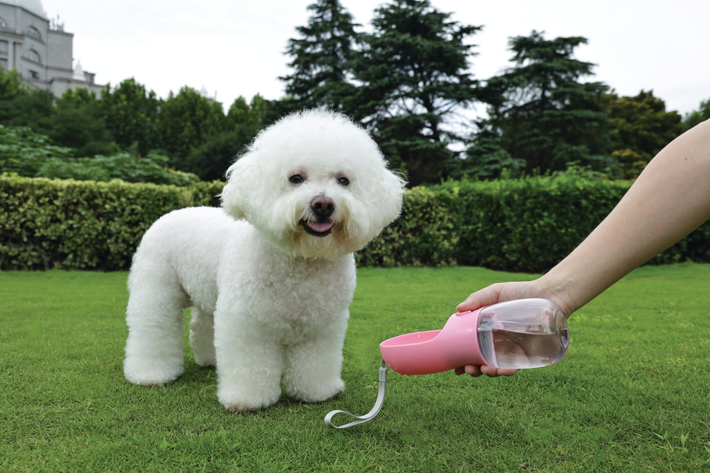ON THE ROAD Dog water bottle 600 ml - 3 in 1 - Pink bloom