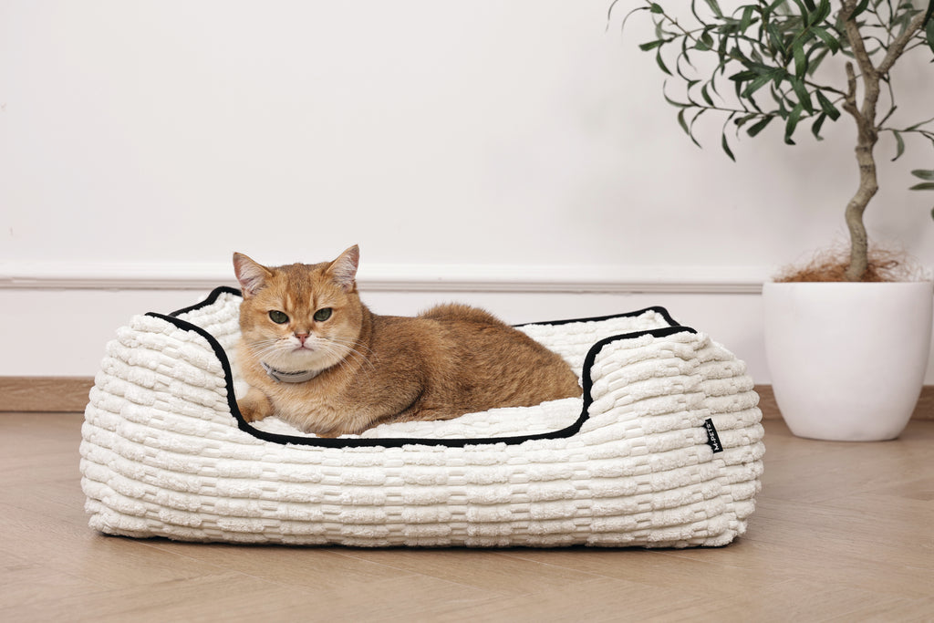 KEEP CALM - Collare con feromoni calmanti per gatti 1 pz