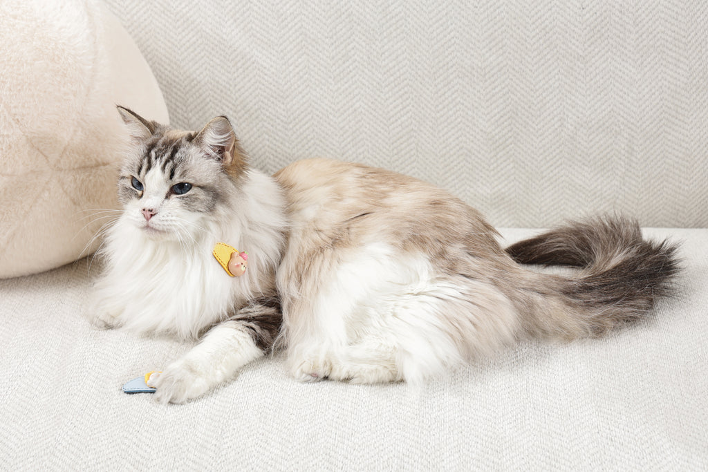 GLAM Accessori per capelli per animali clip - Giallo