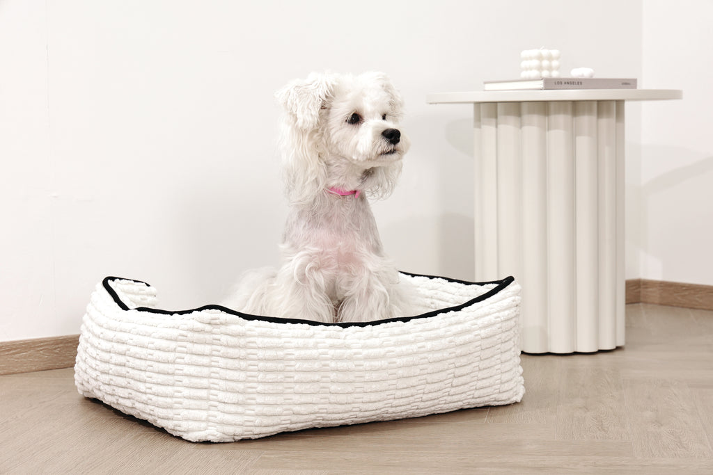 KEEP CALM Calming pheromone collar set for DOGS - 4 pcs