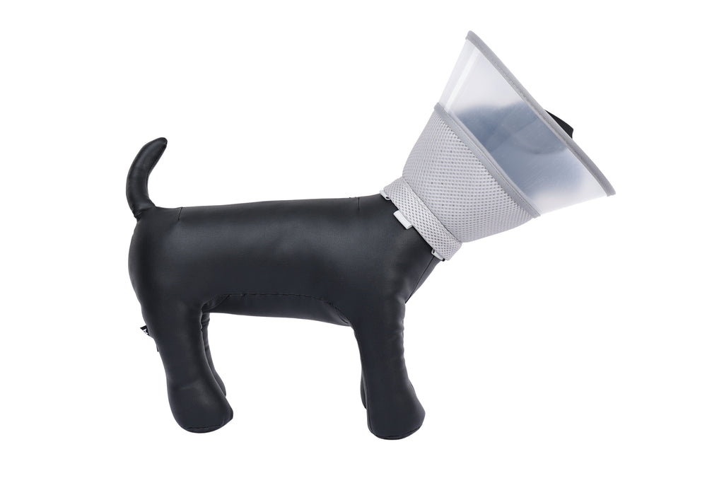 PROCARE Cone Collar