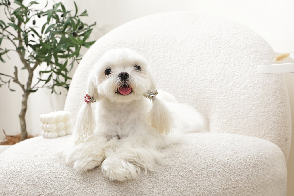 GLAM Accessori per capelli per animali clip a forma di fiore - Rosa e Bianco