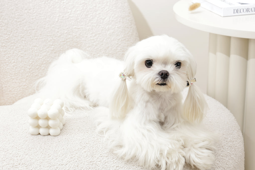 GLAM Accessori per capelli per animali clip a forma di diamante - Nero e Argento