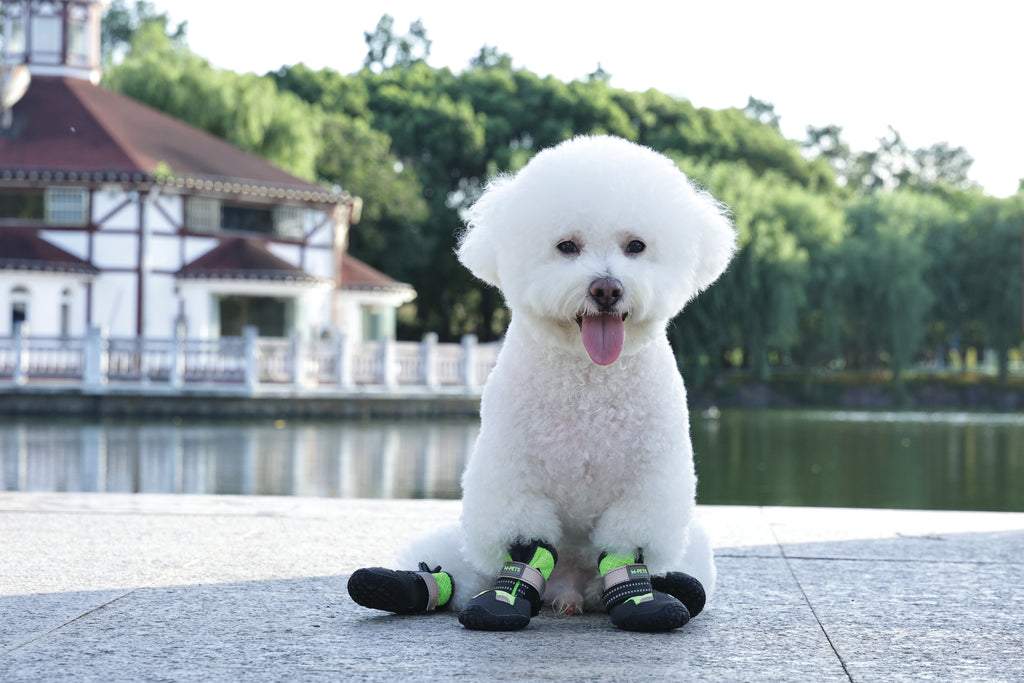 FLEXI SHOES Dog - Green edition