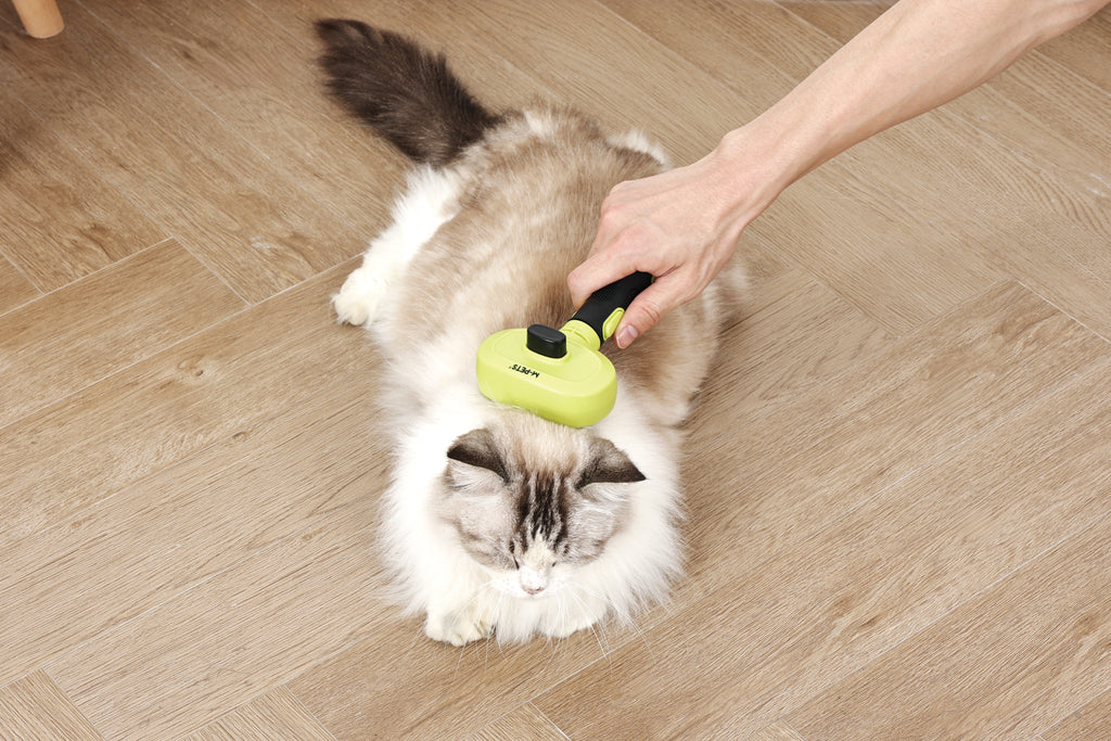 CLICK and GROOM 1-click Cleaning Pin