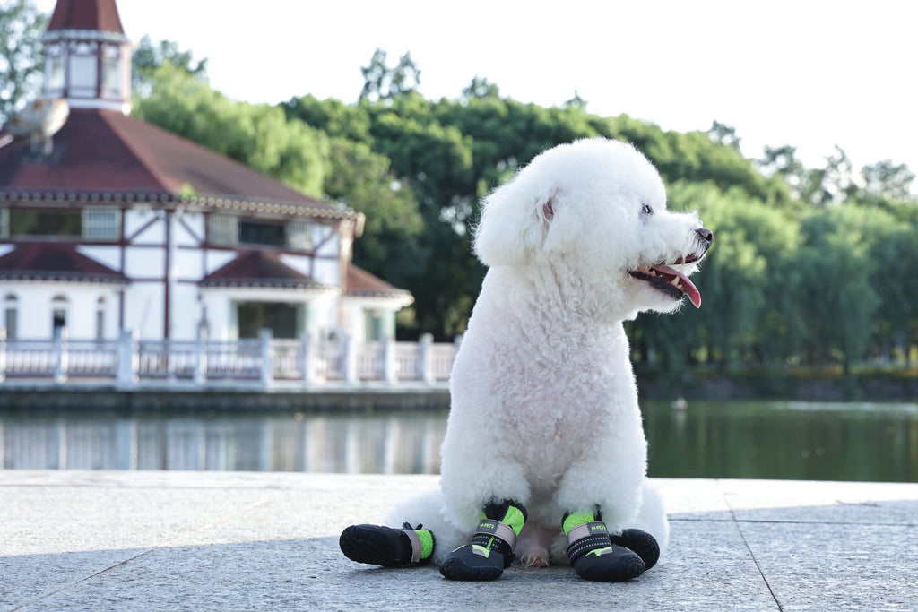 FLEXI SHOES Dog - Green edition