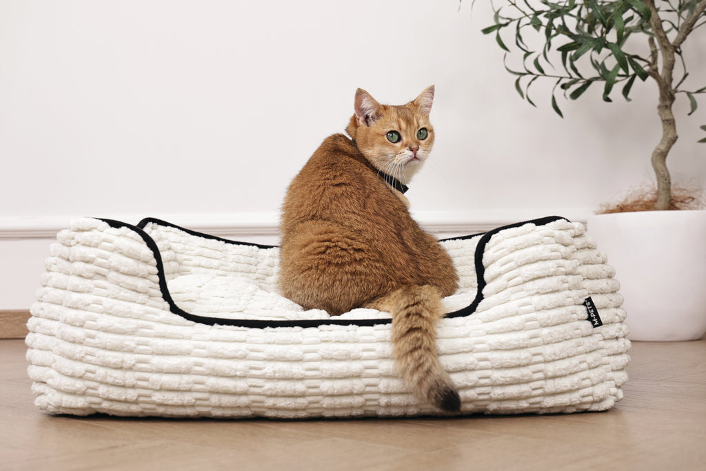 KEEP CALM - Set di collari con feromoni calmanti per gatti 4 pz