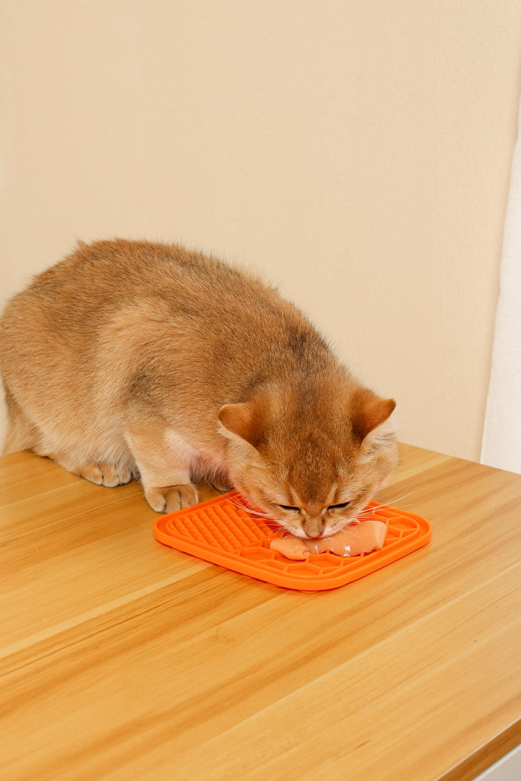 Delizie Cremose per Gatti - Tonno e Capesante