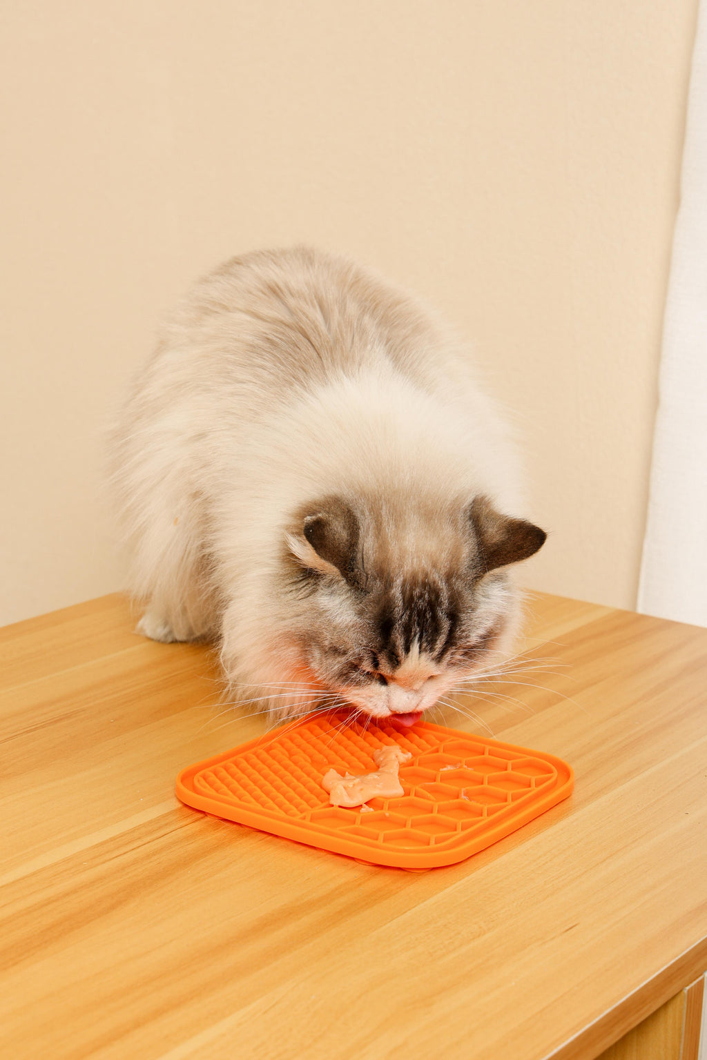 Delizie Cremose per Gatti - Granchio