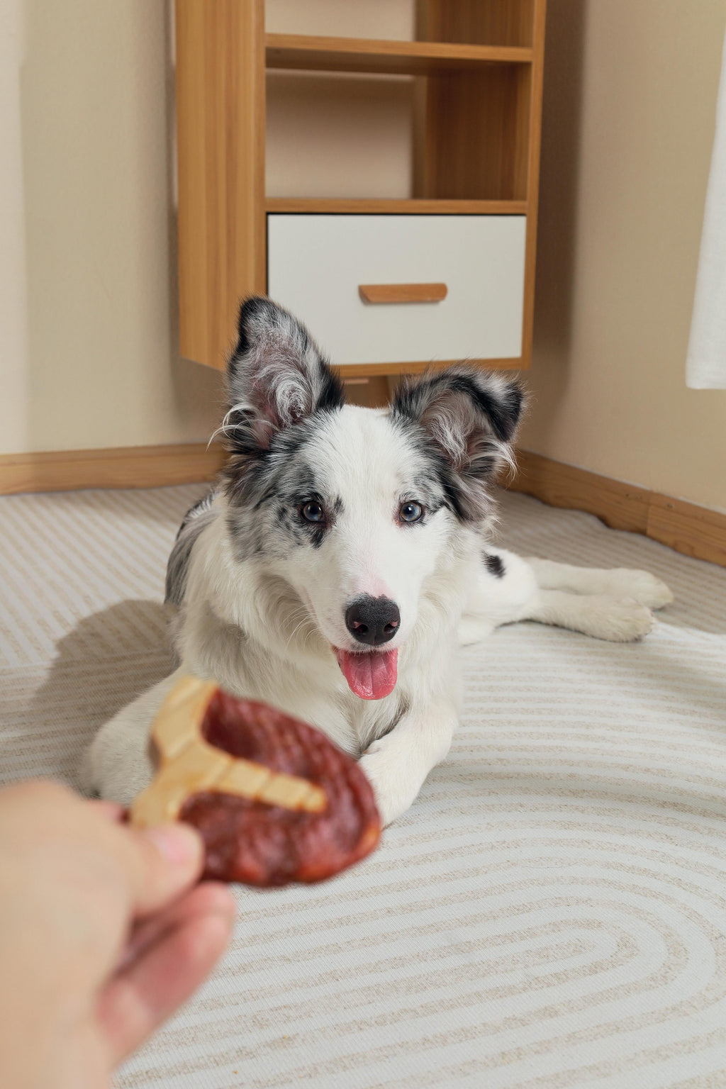 BBQ KINGS - Snack per Cani Bistecca a T-Bone