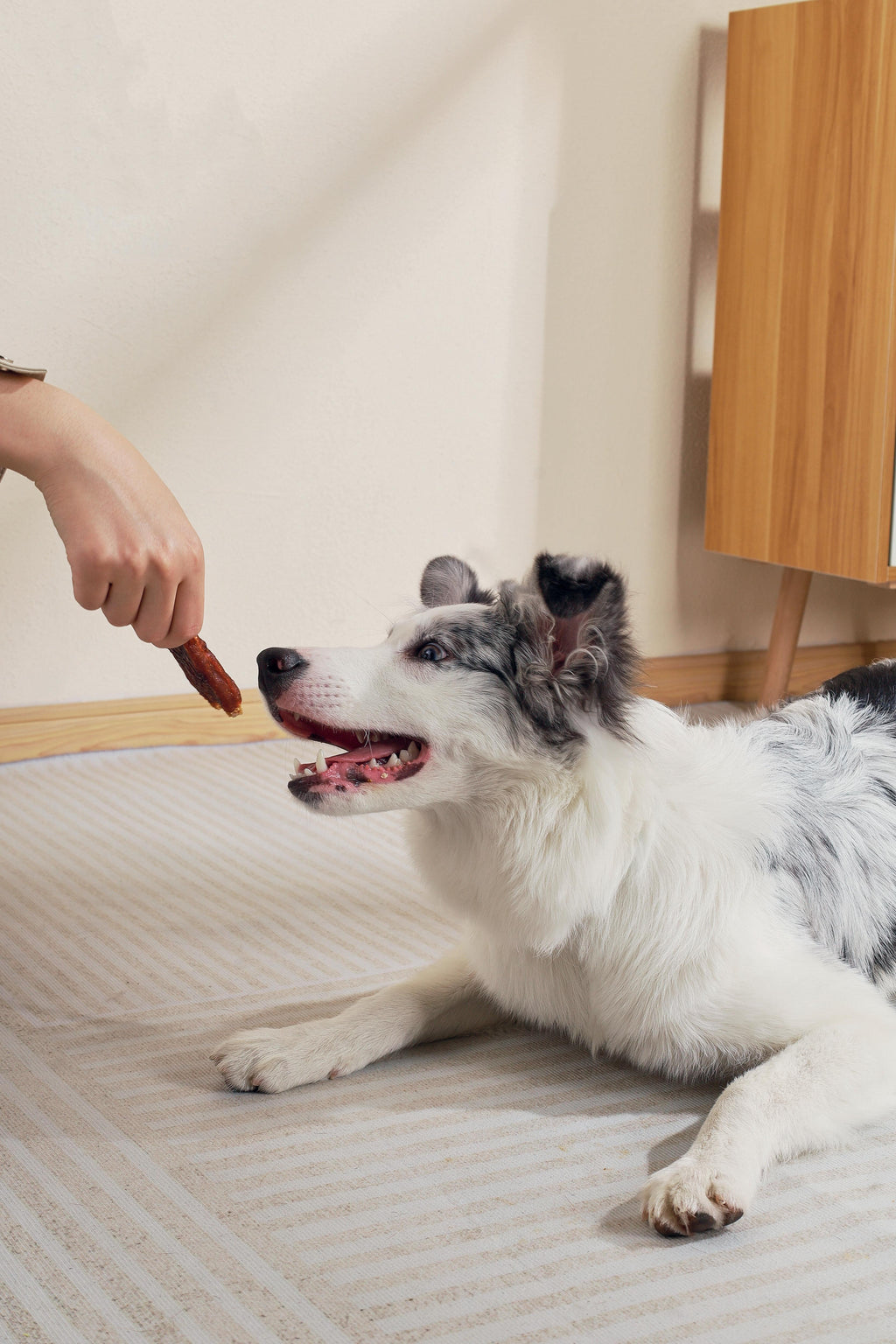 BBQ KINGS - Snack per Cani Costine