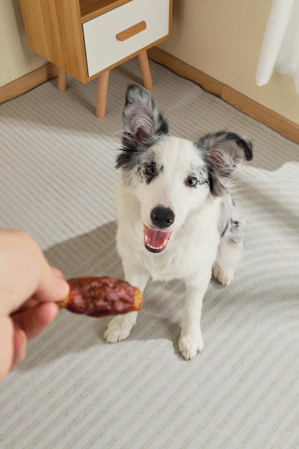 BBQ KINGS - Snack per Cani Cosce Arrosto