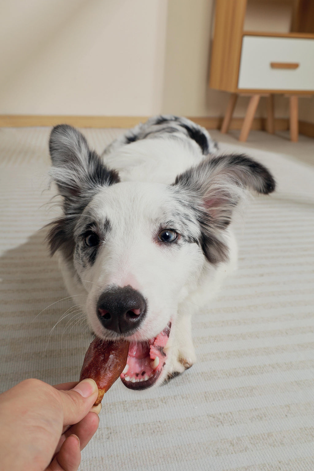 BBQ KINGS - Bocconcini di Costine per Cani