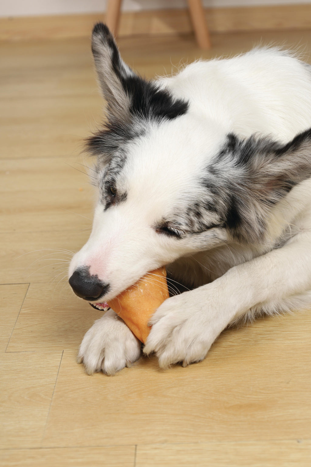 BITE DELIGHT Snack per Cani Coscia di Pollo - 2 kg