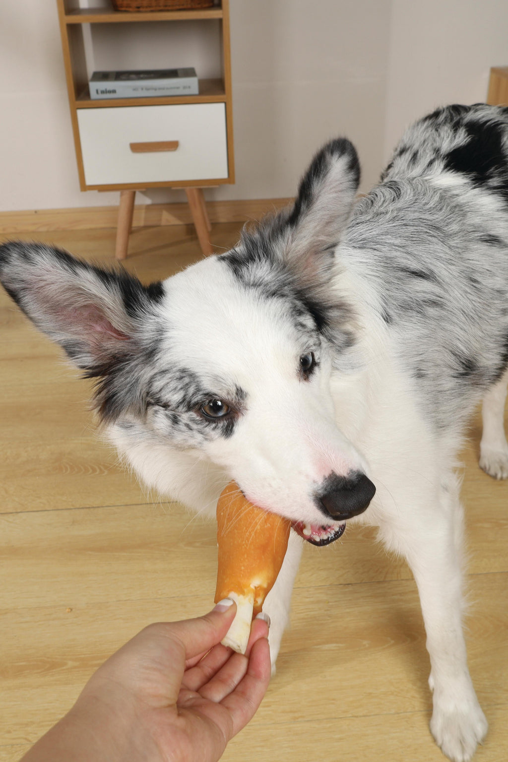 BITE DELIGHT Snack per Cani Coscia di Pollo - 2 kg