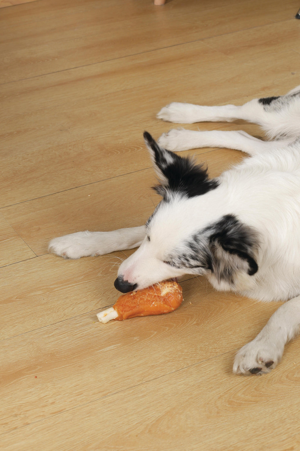 BITE DELIGHT Snack per Cani Coscia di Pollo - 2 kg