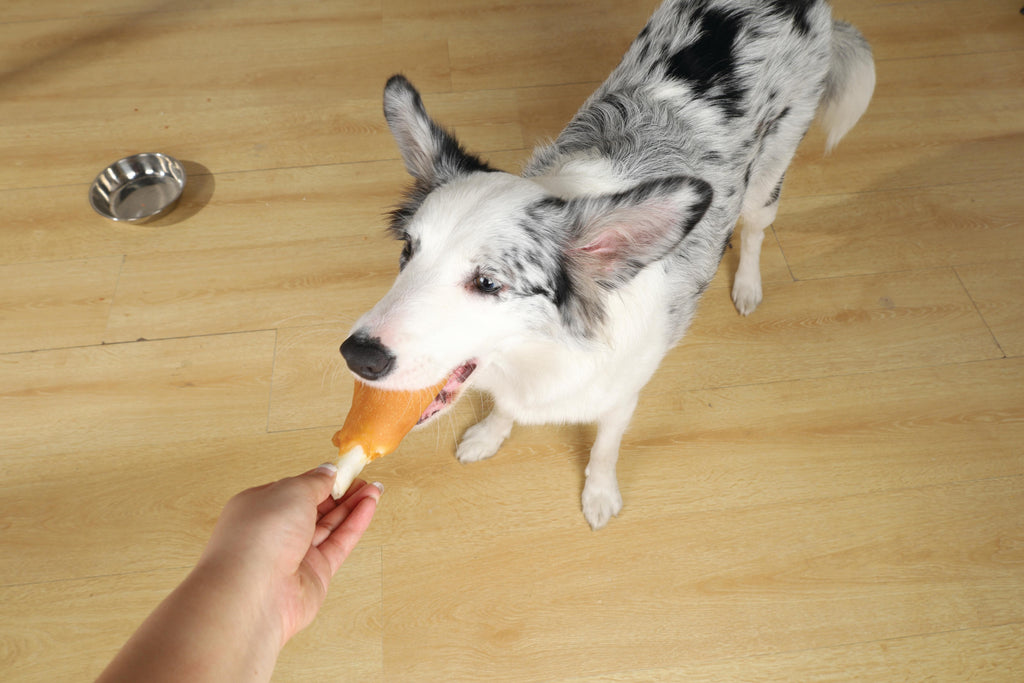 BITE DELIGHT Snack per Cani Coscia di Pollo - 2 kg