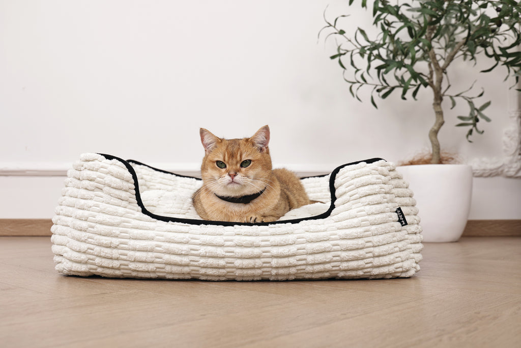 KEEP CALM - Set di collari con feromoni calmanti per gatti 4 pz