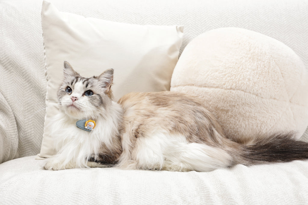 GLAM Accessori per capelli per animali clip - Giallo