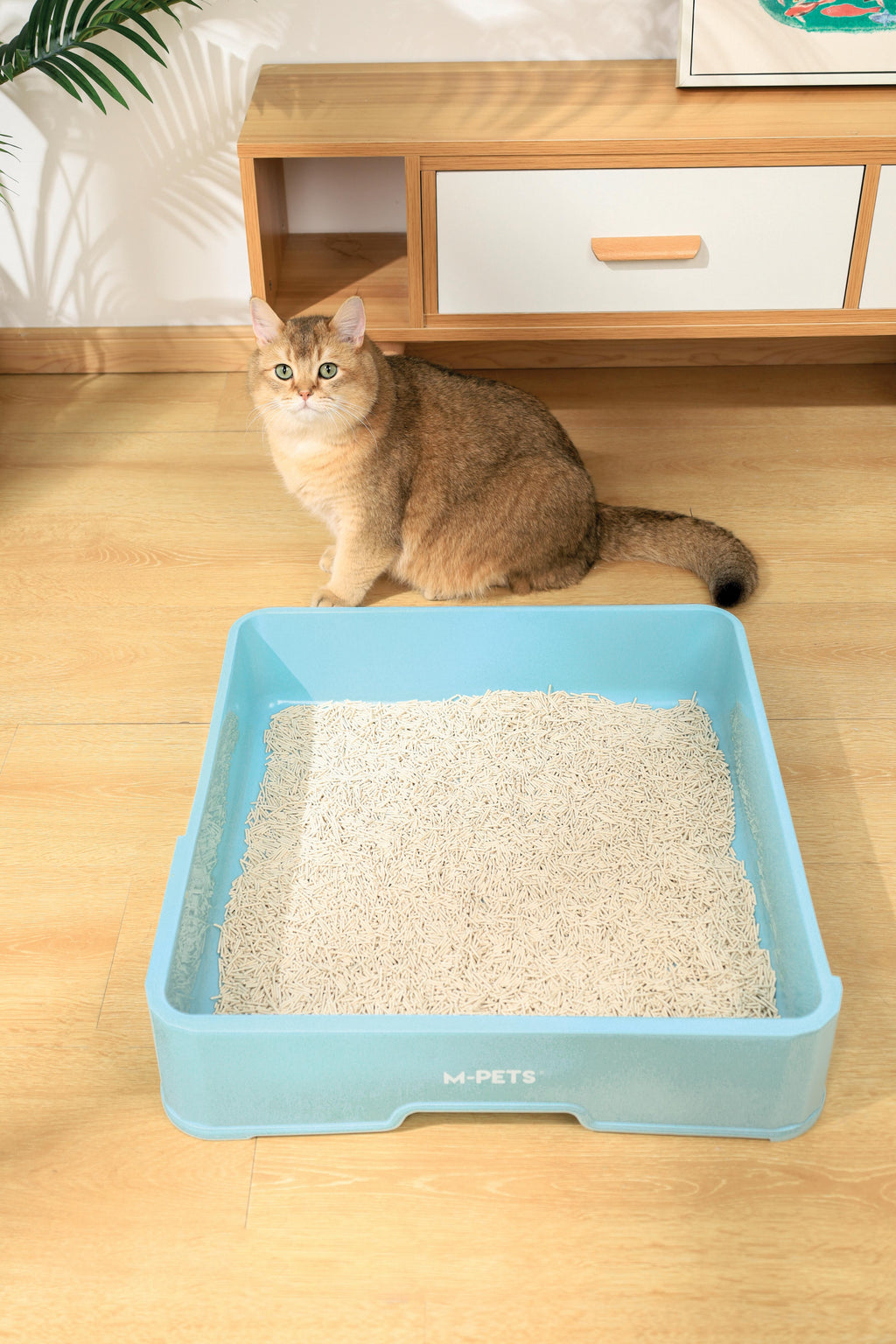 SOYA Lettiera Organica per Gatti Naturale