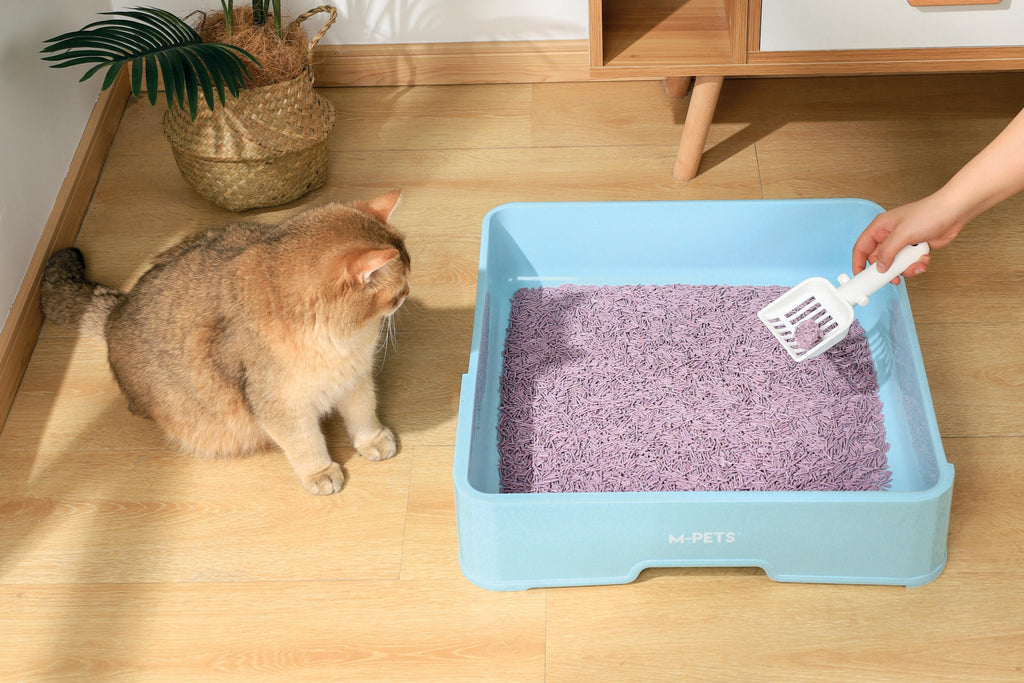 SOYA Lettiera Organica per Gatti Lavanda